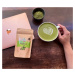 NaturalProtein Matcha Tea BIO