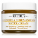 Kiehl's Calendula Serum-Infused Water Cream ľahký hydratačný denný krém pre všetky typy pleti vr