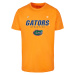 Men's T-shirt Florida Gators Athletics orange