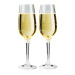 Pohár GSI Outdoors Nesting Champagne Flute Set