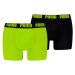 2PACK men's boxers Puma multicolored