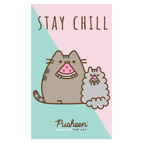 Carbotex Dětský ručník Kočička Pusheen Stay Chill 30x50 cm