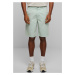 Men's Organic Skater Chino Shorts - mint