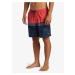 Men's shorts swimwear Quiksilver EVERYDAY WORDBLOCK VOLLEY