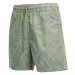 Šortky Woolrich Tropical Print Short Sage Flower