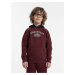 Boys' cotton sweatshirt