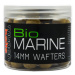 Munch baits vyvážené boilie bio marine 200 ml-14 mm