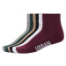 High Sneaker Socks 6-Pack Winter Color