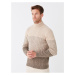 LC Waikiki Turtleneck Long Sleeve Men's Knitwear Sweater