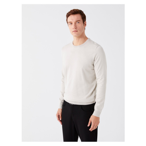 LC Waikiki Crew Neck Long Sleeve Men's Knitwear Sweater