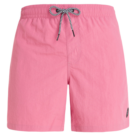 Pánske plavky Protest