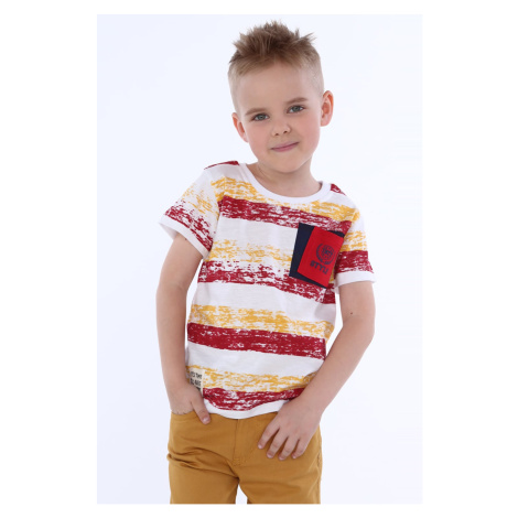 Boy's Striped T-shirt with Pocket / Burgundy FASARDI