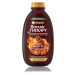 Garnier Botanic Therapy Ginger šampon, 400 ml