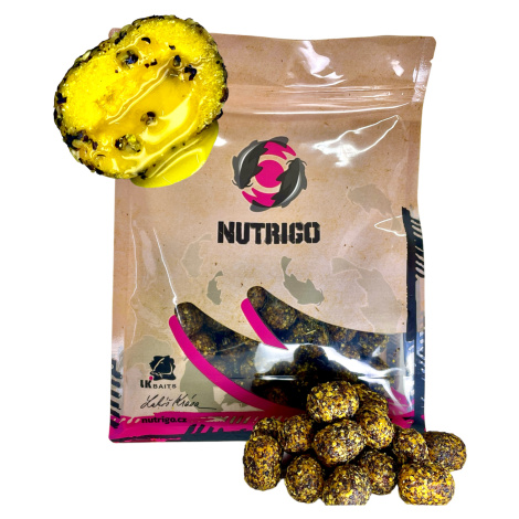 Lk baits nutrigo feed-ex honey rape 800 g 20 mm