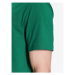 Polo Ralph Lauren Tričko 710671438291 Zelená Slim Fit