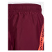 Under Armour Športové kraťasy Ua Woven Graphic Shorts 1370388 Bordová Loose Fit