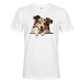 Pánské tričko s potlačou Šeltia  - tričko pre milovníkov psov