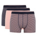 DEFACTO Regular Fit 3-Piece Boxer