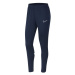 Dámské tréninkové kalhoty Academy 21 W CV2665-451 - Nike XS