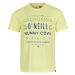 O'Neill MUIR T-SHIRT Pánske tričko, žltá, veľkosť