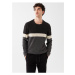 LC Waikiki Crew Neck Long Sleeve Color Block Men's Knitwear Sweater