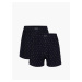 Boxer shorts Atlantic 2MBX-013 A'2 S-3XL navy-blue 03