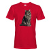 Pánské tričko s potlačou mačky - tričko pre milovníkov mačiek