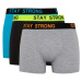DEFACTO 3 piece Regular Fit Knitted Boxer