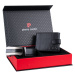 Set Pierre Cardin RS-79