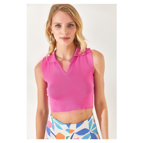 Olalook Women Fuchsia Polo Neck, Sleeveless Crop, Knitwear Blouse