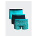 LC Waikiki Standard Mold Flexible Fabric Men's Boxer 3-Piece