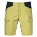 Men's Shorts Bergans Utne Shorts Green