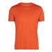 Icebreaker Pán. tričko Spector SS Crew Farba: oranžová