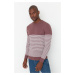 Pánsky sveter Trendyol Striped