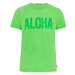 CHIEMSEE Funkčné tričko  zelená