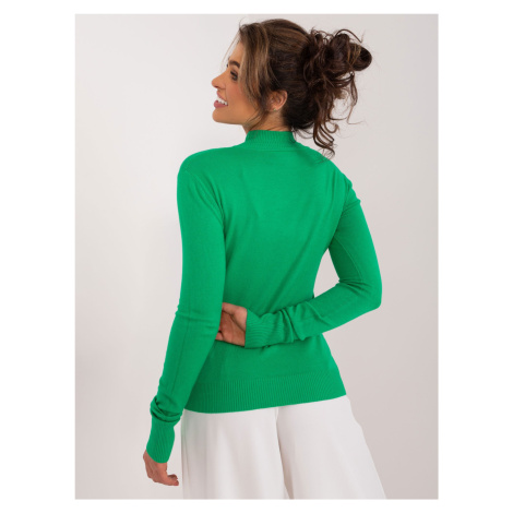 Green fitted turtleneck sweater