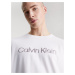 Pánske tričko na spanie CREW NECK 000NM2501E 100 white - Calvin Klein