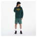 Mikina Nike Men's AC TF Hoodie PO Oakland Athletics Pro Green/ Pro Green