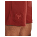 Šortky Under Armour Project Rock Terry Gym Short Heritage Red