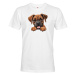 Pánské tričko Boxer - tričko pre milovníkov psov