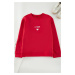 Trendyol Curve Red Polar Fleece Embroidered Regular/Normal Pattern Crew Neck Knitted Sweatshirt