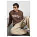 Trendyol Brown Oversize/Wide Cut Hooded Fleece Embroidered Sweatshirt