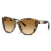 EMPORIO ARMANI EA4214U 60593B - M (54-18-140)