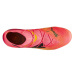 Puma Future Ultimate FG/AG M 107599 03