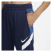 Dámské tréninkové kalhoty Strike 21 W CW6093-451 - Nike S (163 cm)