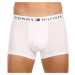 3PACK pánske boxerky Tommy Hilfiger viacfarebné (UM0UM03181 0UN)