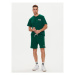 Reebok Športové kraťasy Court Sport 100075659 Zelená Regular Fit