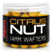 Munch baits wafters citrus nut 200 ml - 14 mm