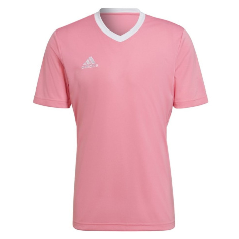 Pánske termoprádlo a funkčné spodné prádlo Adidas