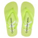 Calvin Klein Jeans Žabky Beach Sandal Monologo Tpu YW0YW01246 Zelená